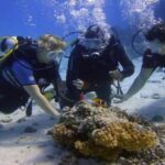 Dykning-Hurghada-scuba- diving-course-padi-dykningskurs-i-Hurghada-dykkurs-i-hurghada dykningskurs-med-öppet-vatten-open-water-course-padi